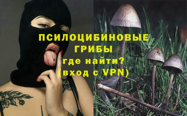 шишки Осташков