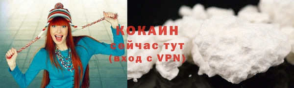 шишки Нягань