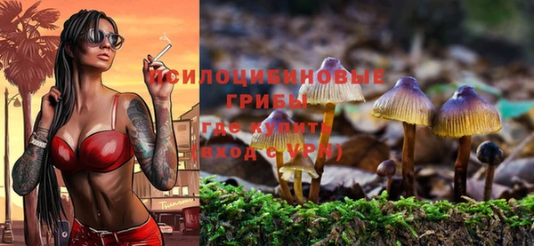 гидра Нязепетровск
