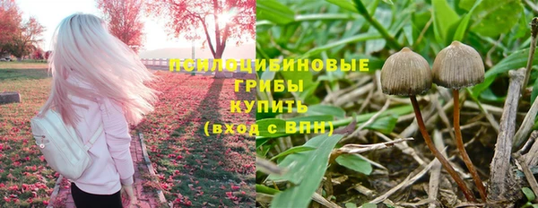 apvp Осинники