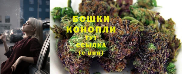 шишки Осташков