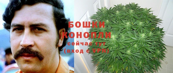apvp Осинники
