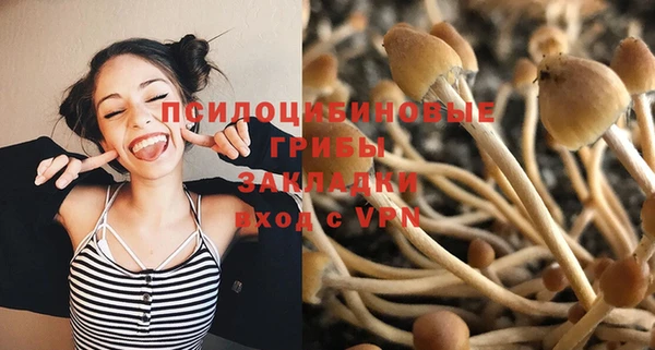 шишки Осташков