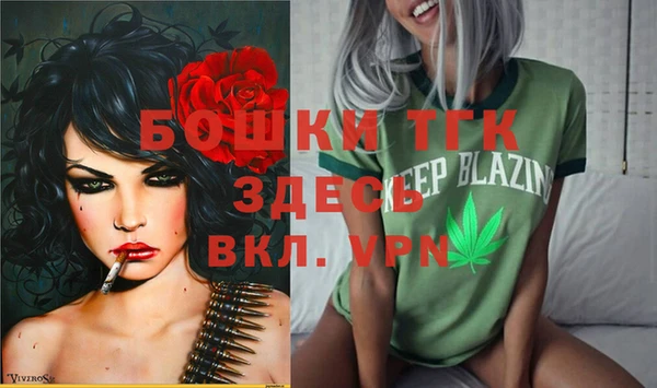 шишки Осташков