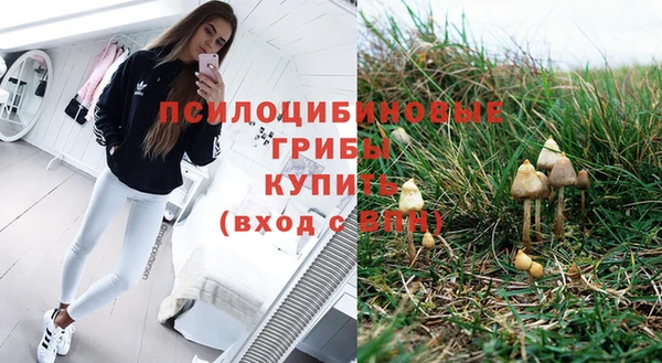 apvp Осинники