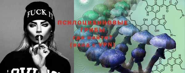 шишки Нягань
