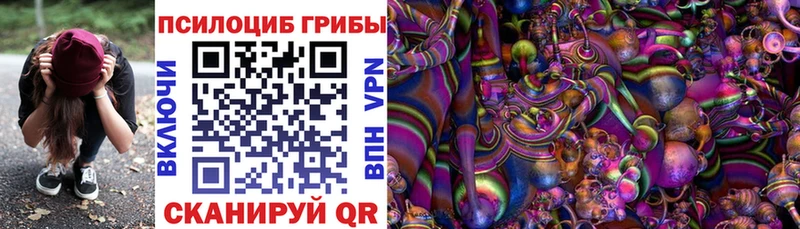 Псилоцибиновые грибы Psilocybine cubensis  мориарти Telegram  Бодайбо  закладка 